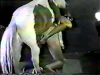 Late night horse sex with whore
